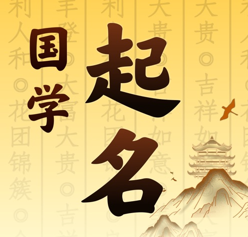咸阳国学起名 人工起名一对一